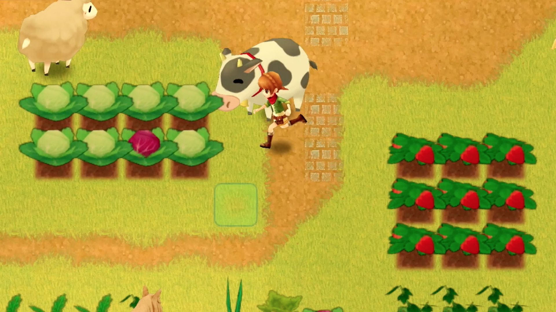 Nintendo Switch - harvest moon mad dash US Version R1-27723 Nintendo Switch - harvest moon mad dash US Version R1-27723