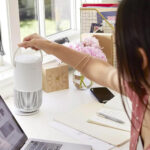 BOSE Portable Smart Speaker – Luxe Silver-65128