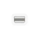 Apple Thunderbolt to FireWire Adapter-100619