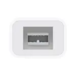 Apple Thunderbolt to FireWire Adapter-100620