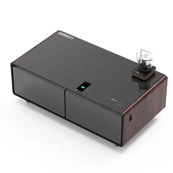 Gamvity Newest Luxury Pro Version Smart Coffee Table 135l Refrigerator (Tb135) - Wooden-0