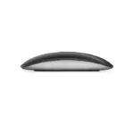 Apple Magic Mouse - Black Multi-touch Surface-109696