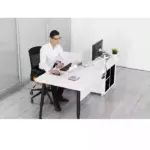 Gamvity Height Adjustable Universal Tablet and Laptop Mount Monitor Stand Arm OL-3T - Silver-114489