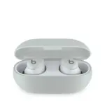 Beats Solo Buds True Wireless Earbuds - Storm Gray-126108