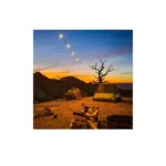 Mpowerd Luci Warm White 44’ Solar String Lights + Detachable Power Hub Black-126032