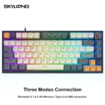 Skyloong Gk75 Three Modes Connection - Tigry (Mechanical & Hot-swappable Knob) Gaming Keyboard (Switch Yellow) English / Arabic Layout-0
