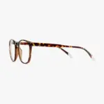 Barner Dalston Glossy Glasses - Tortoise-148726